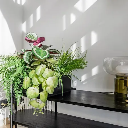 Urban Heaven Luxury Lofts